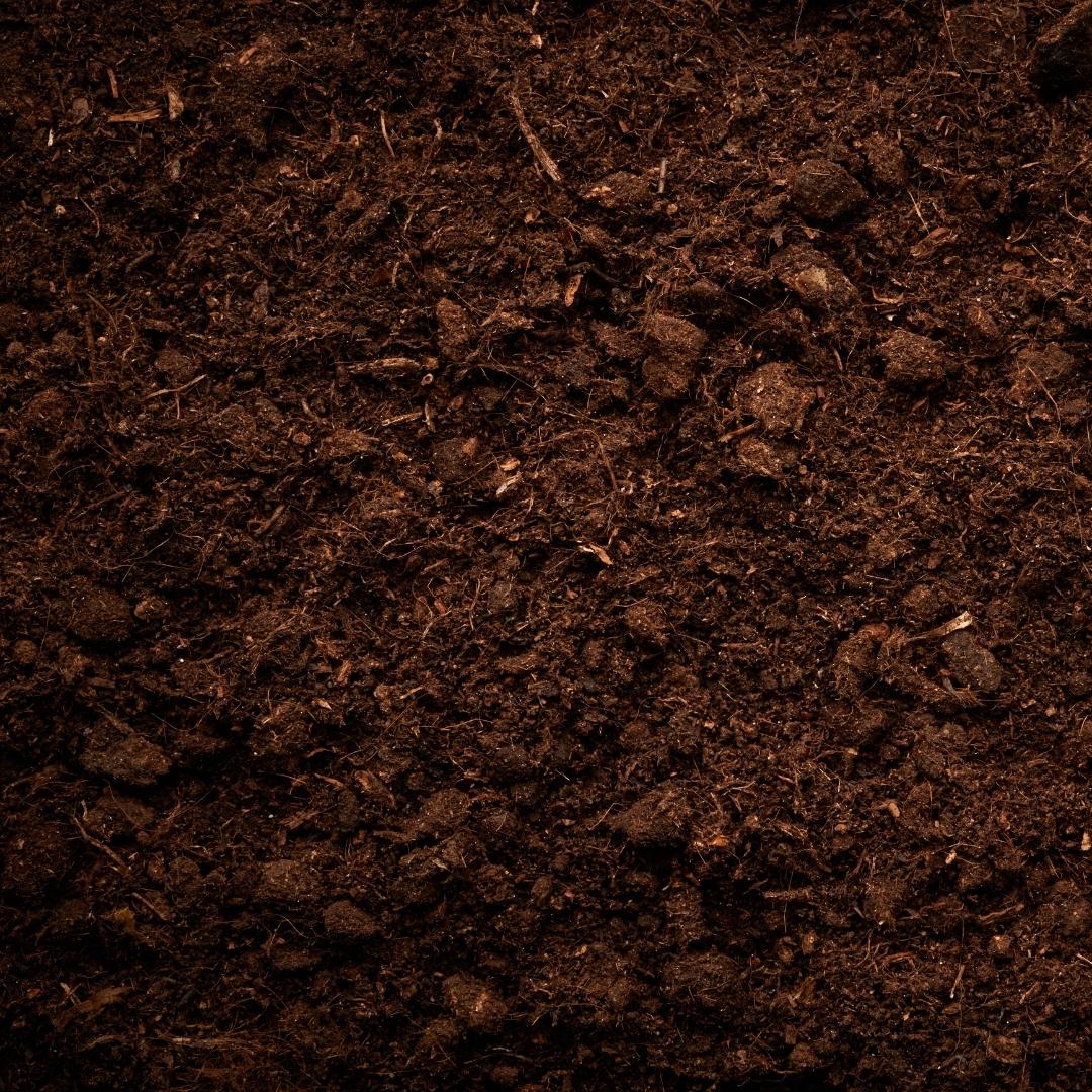 Hoya Soil