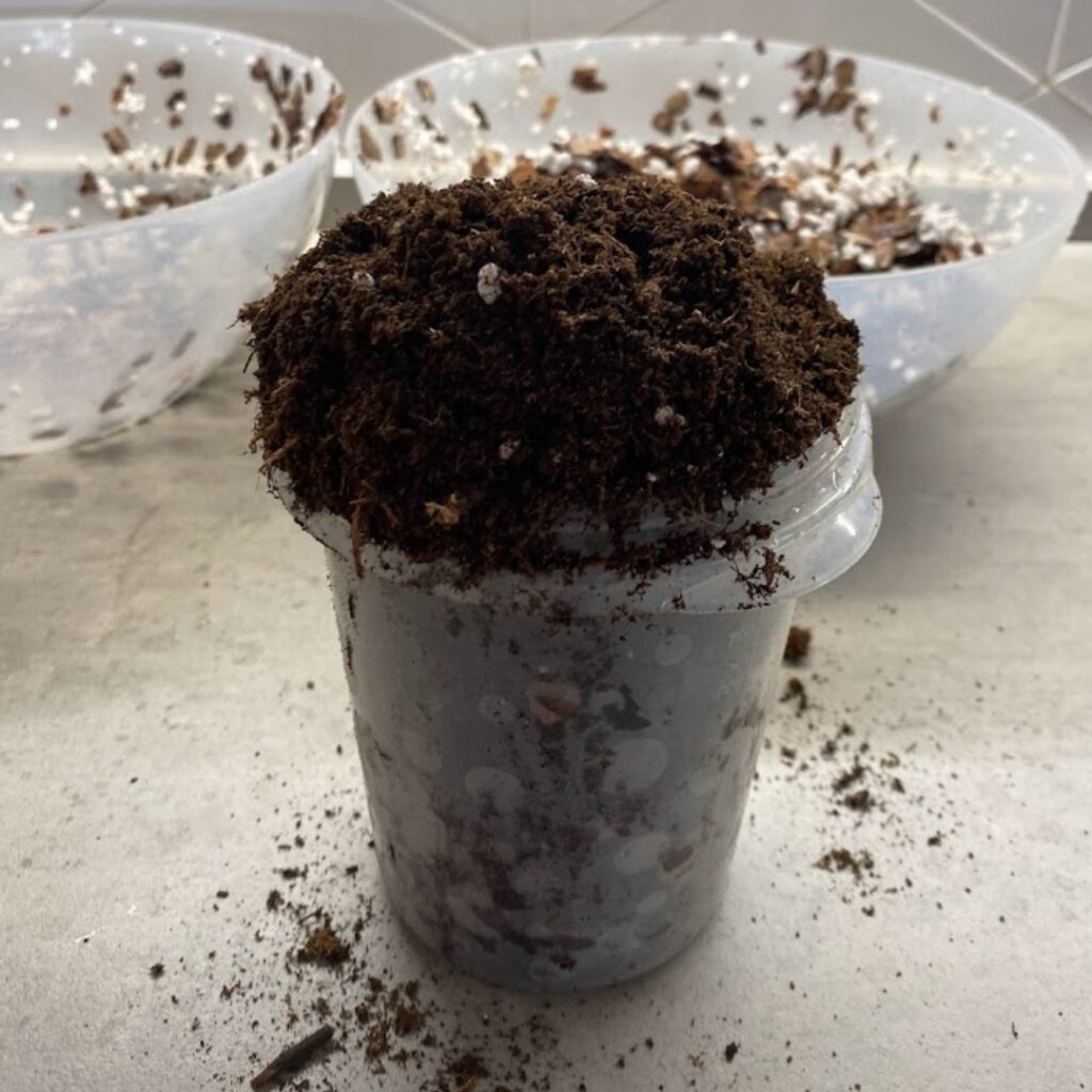 a cup of soil