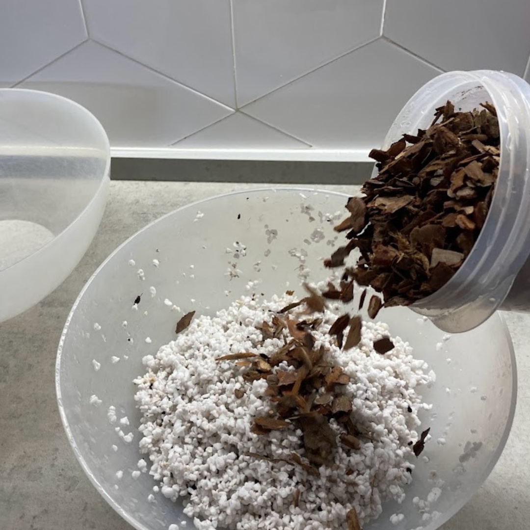 Adansonii Soil Mix